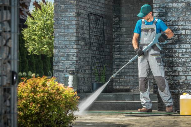 Best Solar Panel Cleaning  in Bloomingdale, TN
